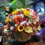 گالری گل دلاریس