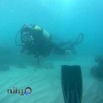 مدرسه غواصی قشم Qeshm diving school