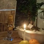 رستوران شاهین