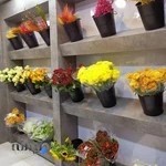 گلفروشی رایکا رز