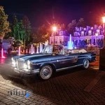 تعمیرگاه فوق تخصصی هنرور