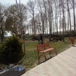 سازمان پارکها و فضای سبز شهرداری ملارد