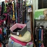 کلینیک دامپزشکی دکتر برکی تبار