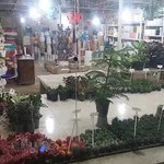 گلفروشی گلستان محمدی