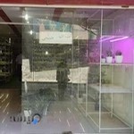 فروشگاه تخصصی بنفشه آفریقایی (گل و گیاه آپارتمانی)