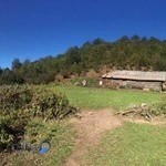 دبستان پسرانه فروغ دانش