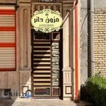 مزون دانر mezon daner