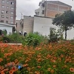 دبستان غیردولتی دخترانه اردیبهشت