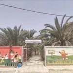 پیش دبستانی شادی