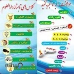 آموزشگاه علمی دارالعلوم دزفول