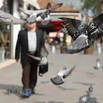 عکاسی کازابلانکا