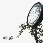 Provideo Photography Studio (عکاسی تصویر)