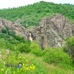 عکاسی و فیلمبرداری نهال فیلم