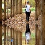 آتلیه هنری طوفان