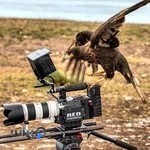 استودیو زنجان تصویر