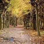 آتلیه عکاسی وفیلمبرداری شادی