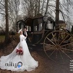 آتلیه کاندیدا