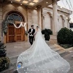 استودیو سگال