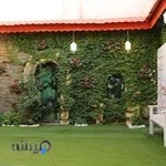 آتلیه تخصصی کودک لیوسا