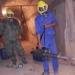 شرکت سمپاشی و موریانه زدایی دزفول