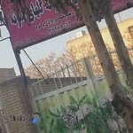 مدرسه غیر دولتی دخترانه و پسرانه گلهای نمونه