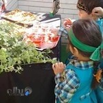 مهد مدادرنگی