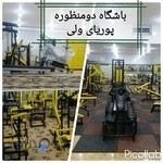 باشگاه فرهنگی ورزشی دومنظوره ی پوریای ولی دزفول
