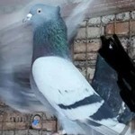 پرنده فروشی