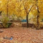 باغ عکاسی ممو