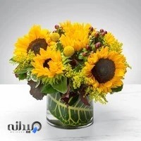 آتلیه آفتابگردان