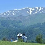 استودیو خانه عروس