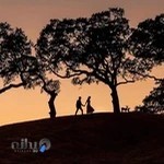 استودیو رامون