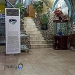 رستوران شوادون