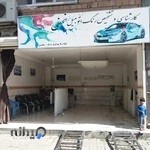 تشخیص رنگ نجفی