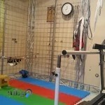 کاردرمانی و گفتاردرمانی