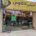 گلخانه سیتی کاکتوس