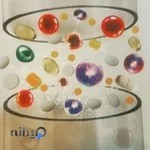 دکتر محمدکریم هروی