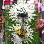 گلفروشی معراج