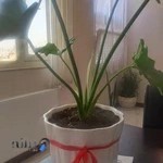 طراحی سایت مدیرمارکت