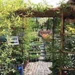 گلخانه کیهان