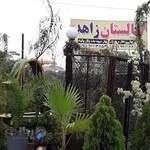 نهالستان زاهد