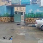 Emam Ali AS High School