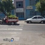 دبستان ریحانه