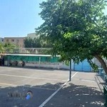 دبیرستان نظری دخترانه ولیعصر