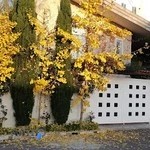 دبیرستان غیردولتی خوارزمی