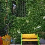 مهدکودک نارون