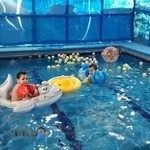 مهدکودک ستاره در سعادت آباد