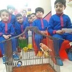 مهدکودک وپیش دبستانی هورداد