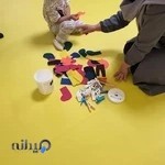 موسسه خلاقیت سرزمین فکر