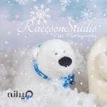 آتلیه عکس راکون